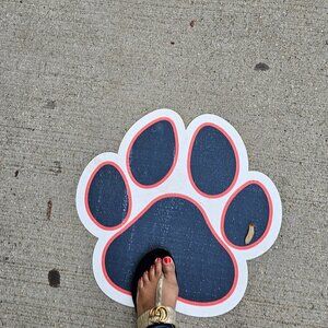 Meet your Posher, Jennie